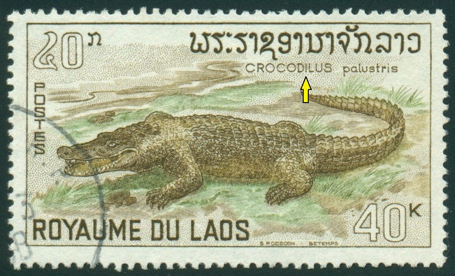 LAOS. krokodýl bahenní  je správně Crocodylus palustris