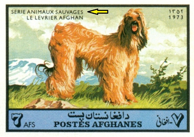 AFGÁNISTÁN. chybný popis 'divoká zvířata'. afgánský chrt je domestikovaný (1)